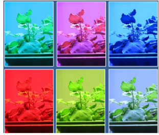 77779193永利官网(集团)有限公司