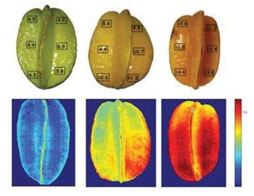 77779193永利官网(集团)有限公司