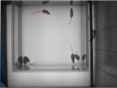 77779193永利官网(集团)有限公司