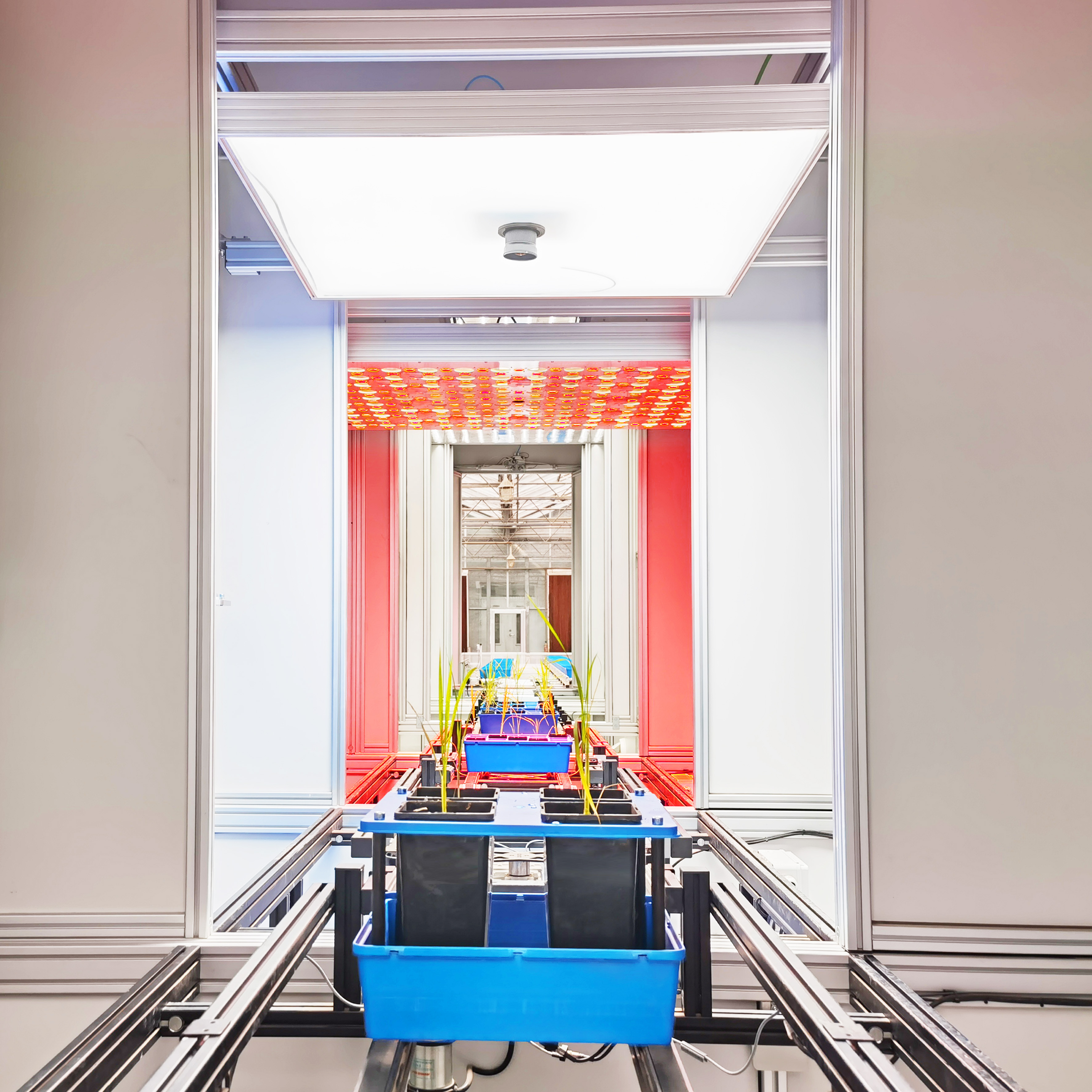 PlantScreen高通量植物表型成像剖析平台（传送带版）（二）