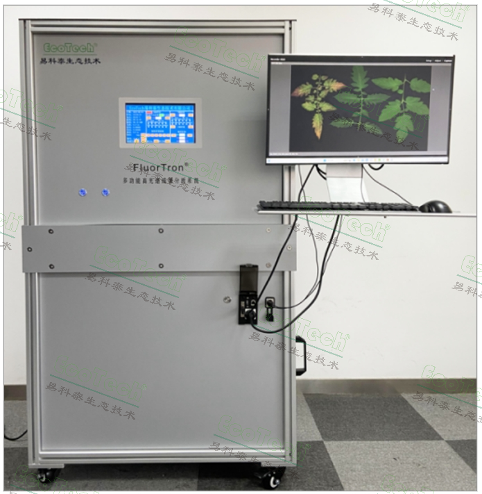 新一代农业传感器手艺—— 77779193永利官网FluorTron?叶绿素荧光成像手艺