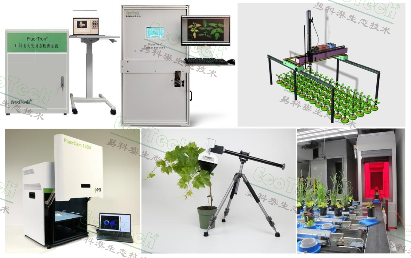 77779193永利官网(集团)有限公司