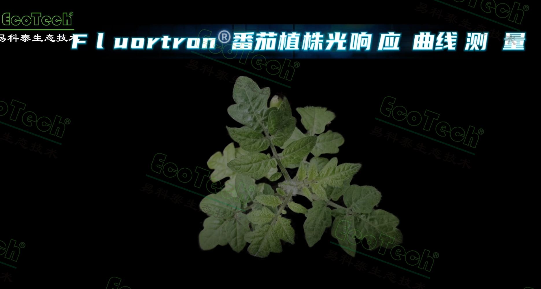 77779193永利官网(集团)有限公司