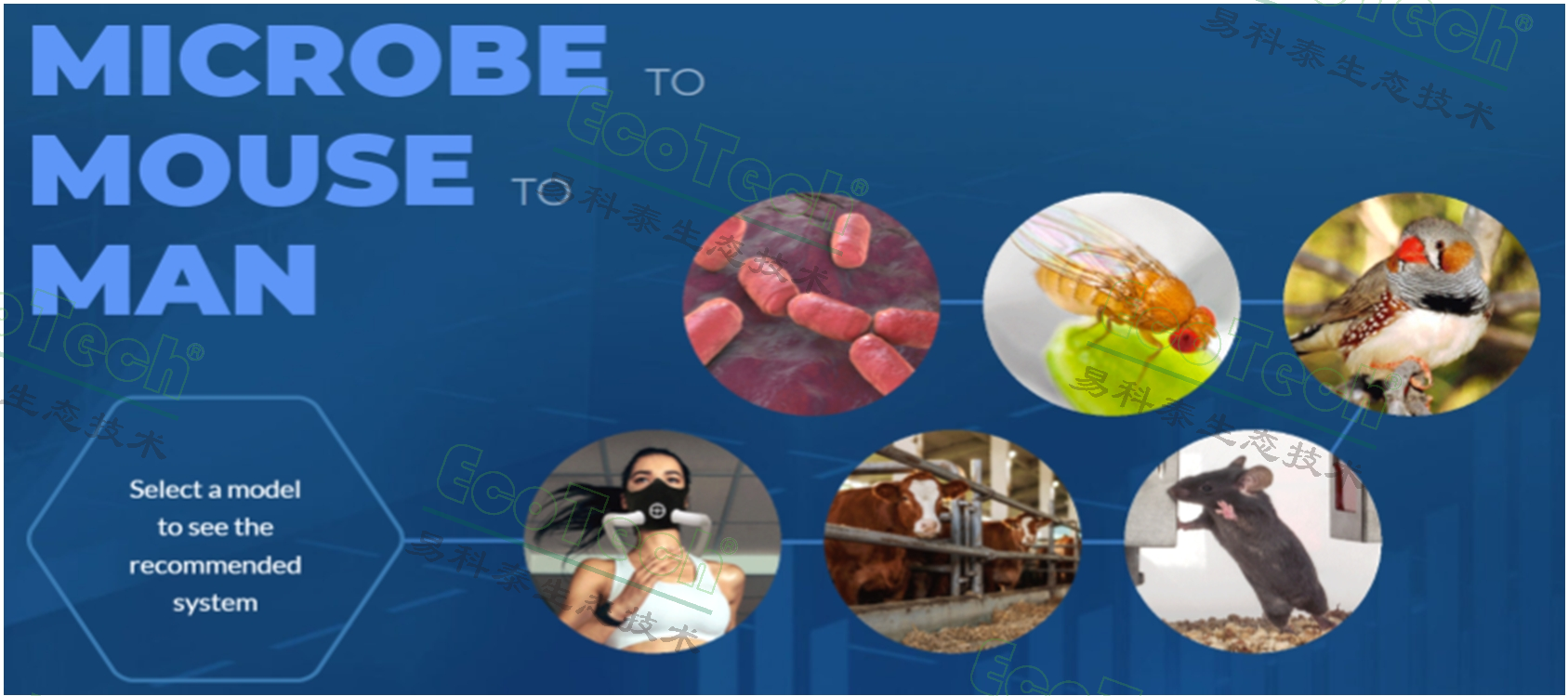 77779193永利官网(集团)有限公司