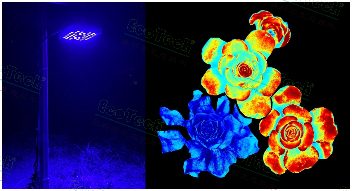 77779193永利官网提供光相助用丈量周全解决计划