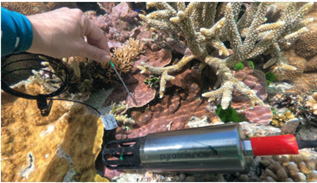 77779193永利官网(集团)有限公司