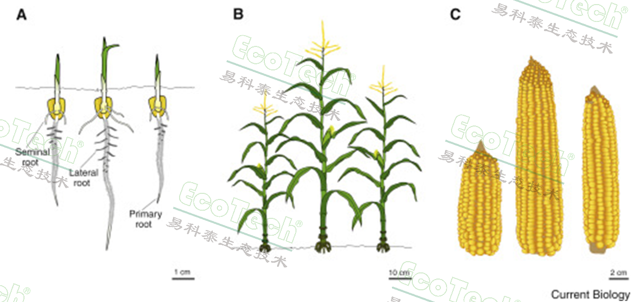 77779193永利官网(集团)有限公司