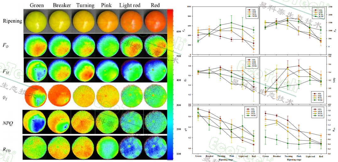 77779193永利官网(集团)有限公司