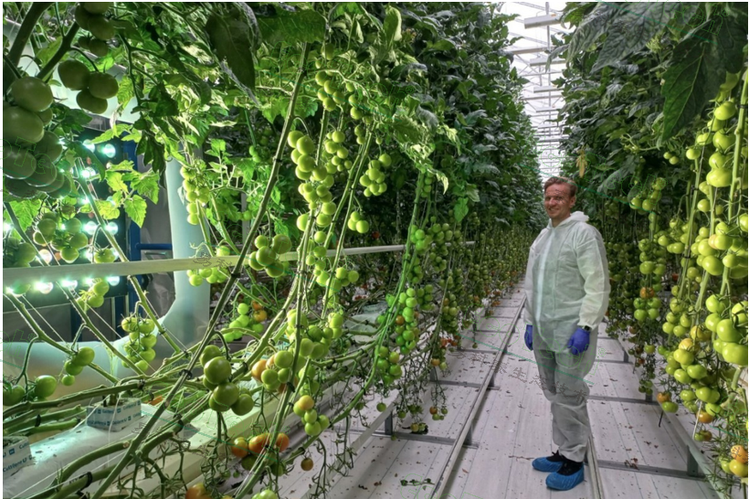 77779193永利官网(集团)有限公司