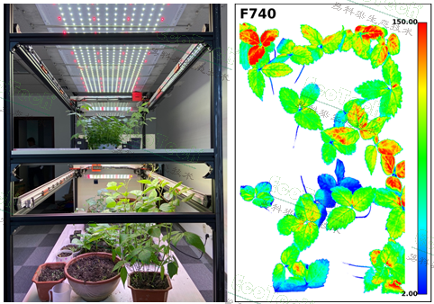 77779193永利官网(集团)有限公司