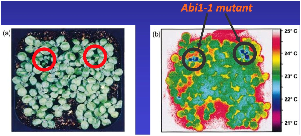 77779193永利官网(集团)有限公司