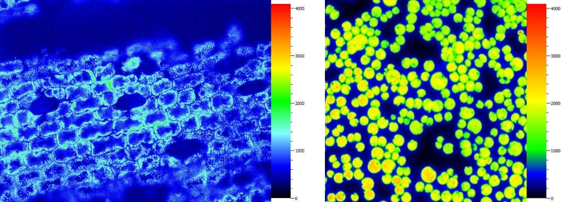 77779193永利官网(集团)有限公司