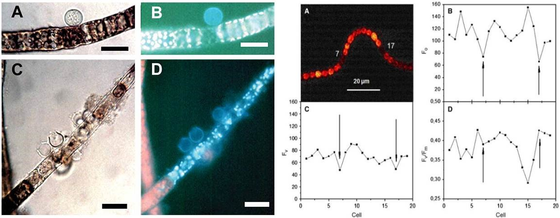 77779193永利官网(集团)有限公司