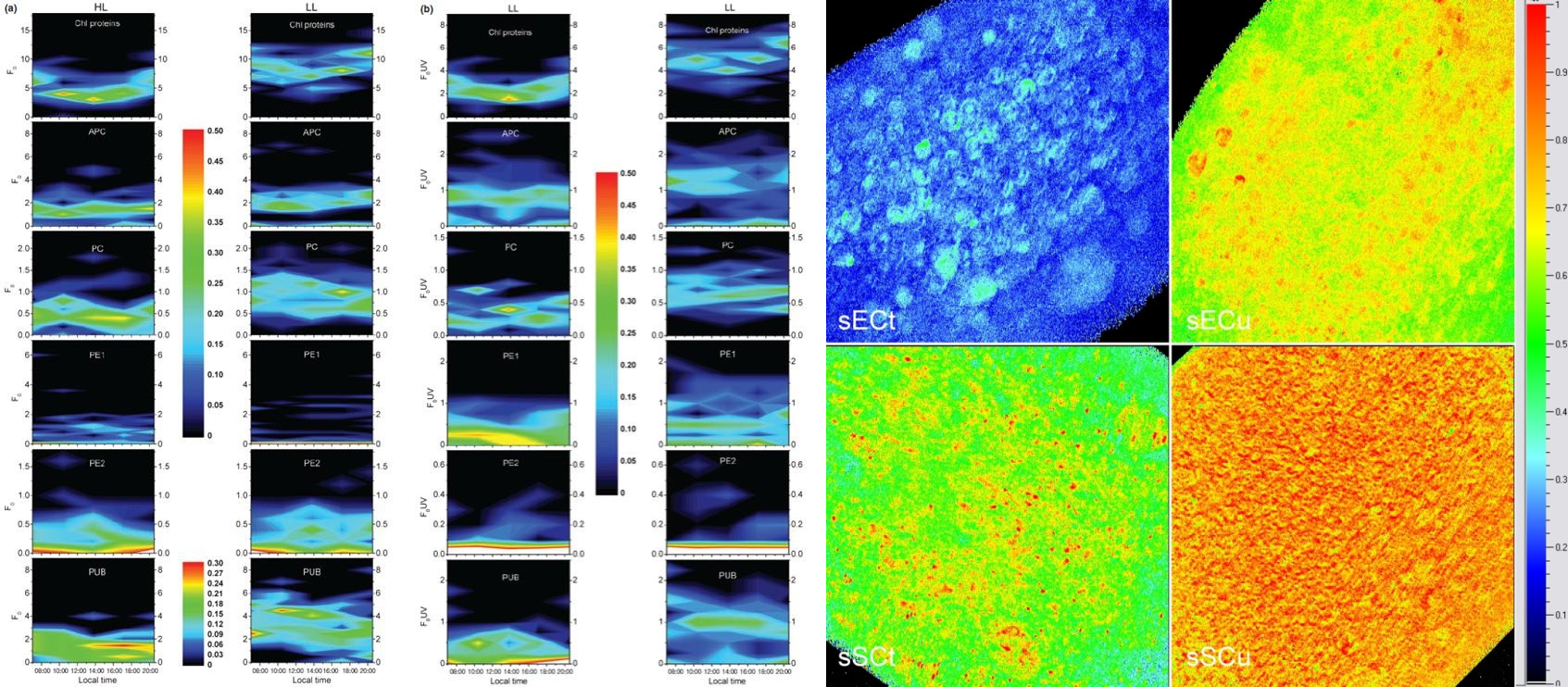 77779193永利官网(集团)有限公司