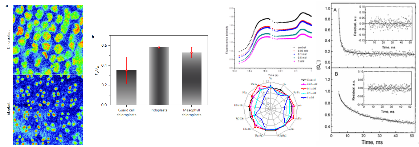 77779193永利官网(集团)有限公司