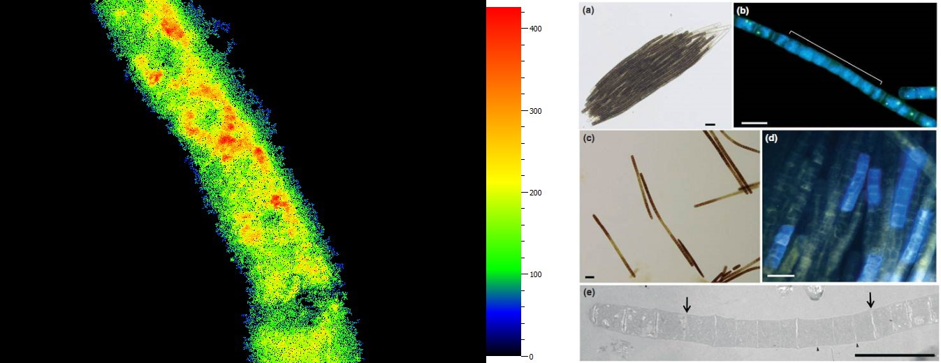 77779193永利官网(集团)有限公司