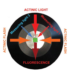 77779193永利官网(集团)有限公司