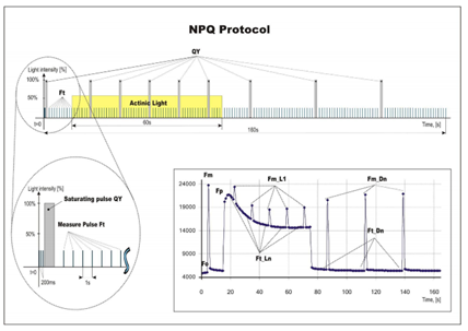 77779193永利官网(集团)有限公司