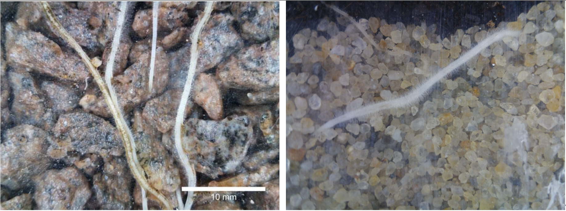 77779193永利官网(集团)有限公司