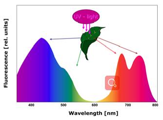 77779193永利官网(集团)有限公司