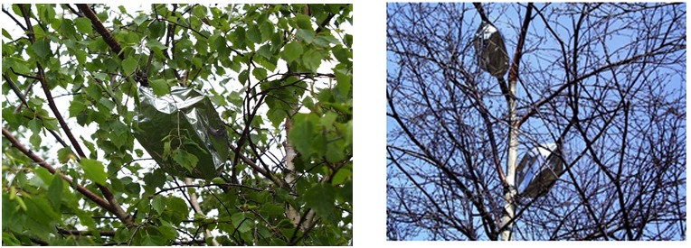 77779193永利官网(集团)有限公司