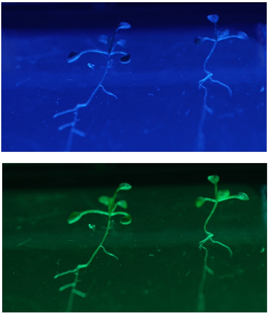 77779193永利官网(集团)有限公司