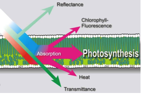 77779193永利官网(集团)有限公司