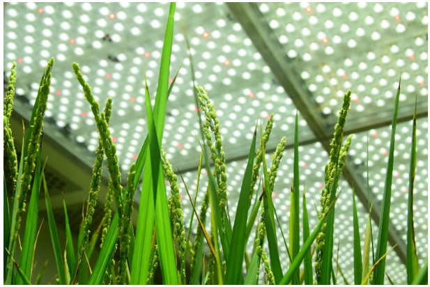 77779193永利官网(集团)有限公司