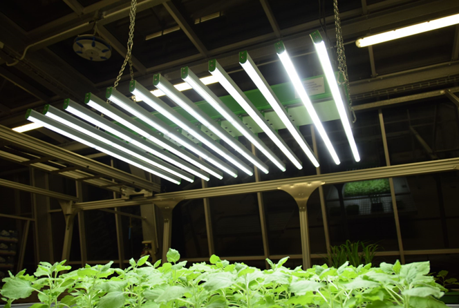 77779193永利官网(集团)有限公司