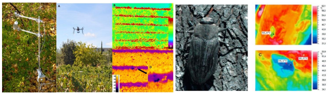 77779193永利官网(集团)有限公司