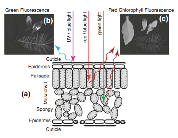 77779193永利官网(集团)有限公司