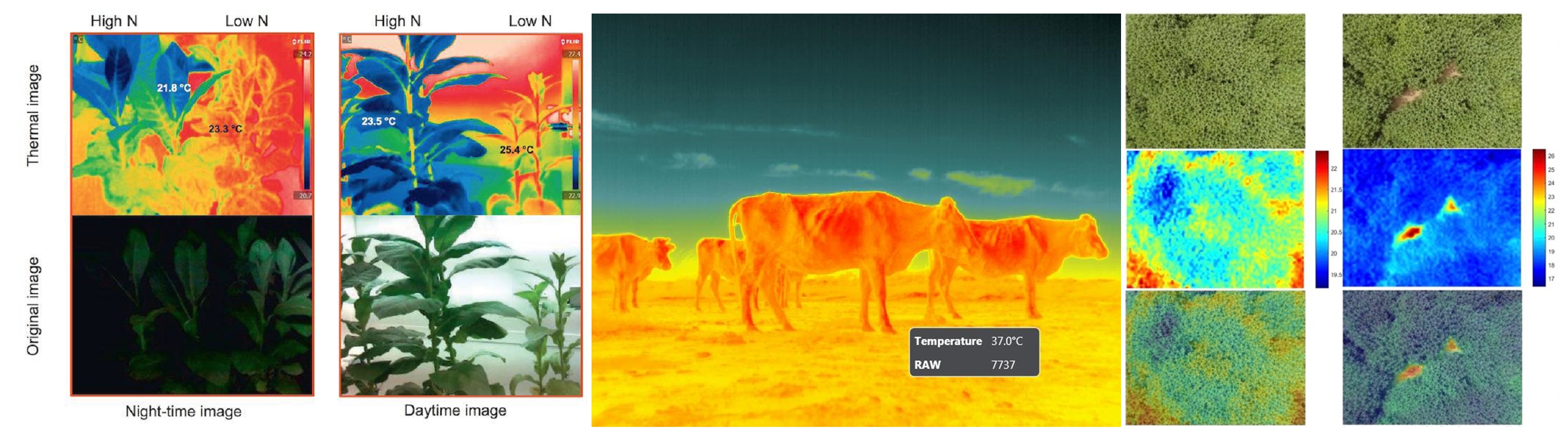 77779193永利官网(集团)有限公司