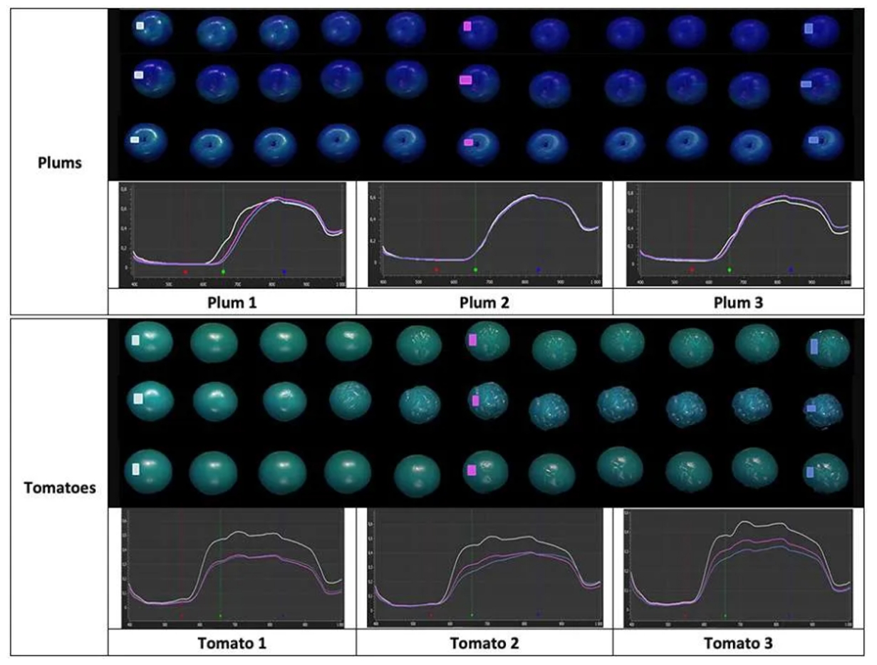 77779193永利官网(集团)有限公司