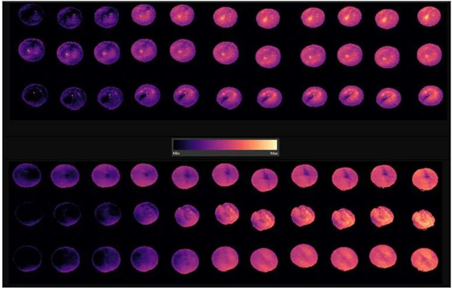 77779193永利官网(集团)有限公司