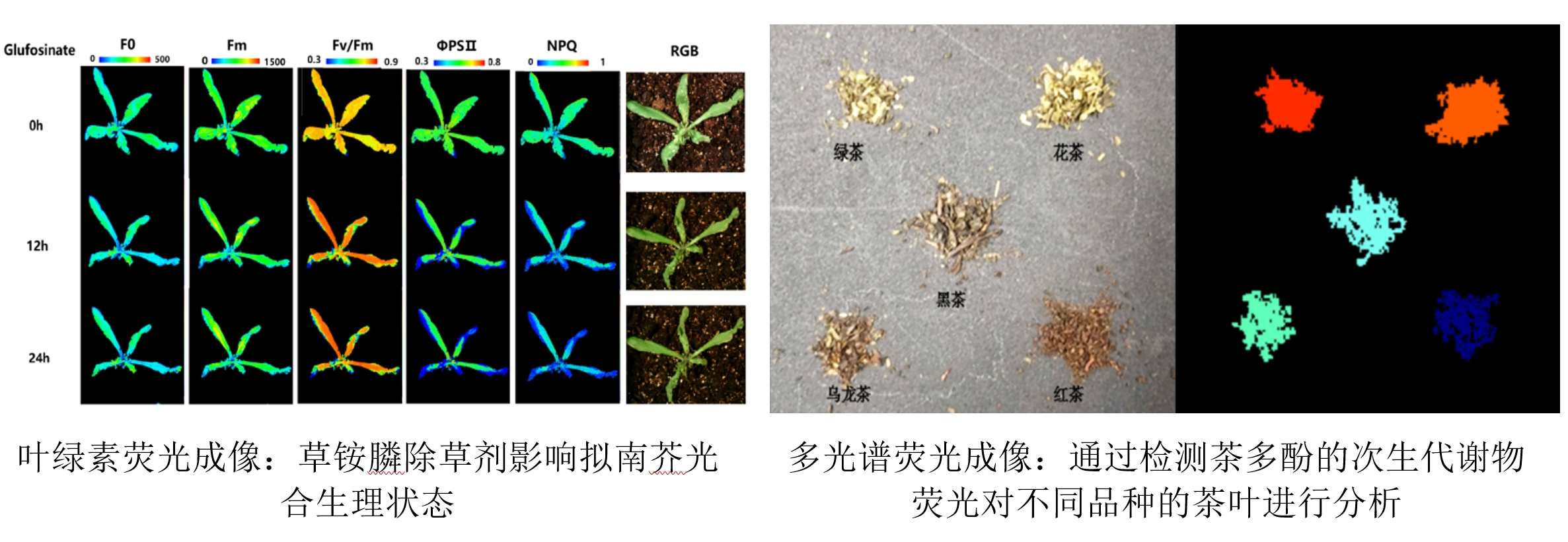 77779193永利官网(集团)有限公司