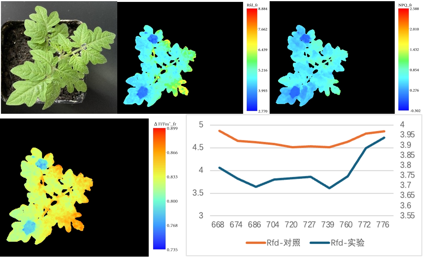 77779193永利官网(集团)有限公司