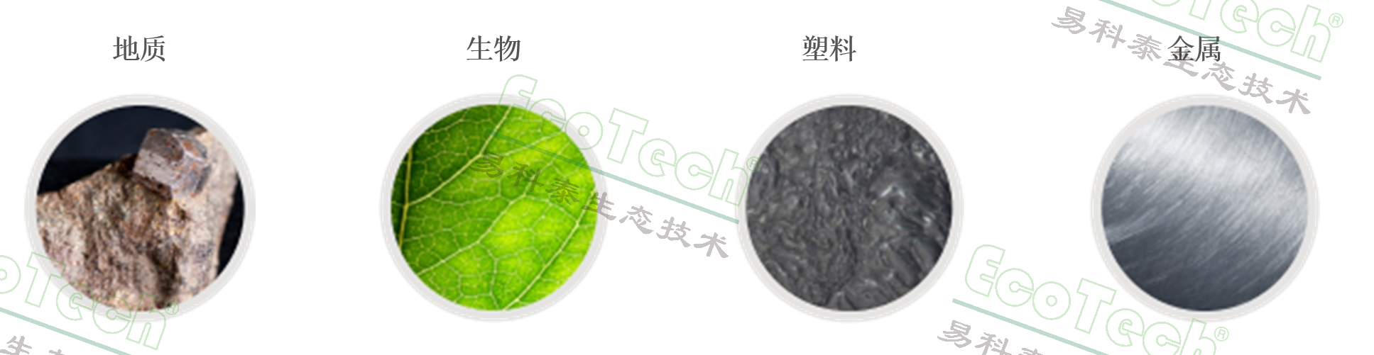 77779193永利官网(集团)有限公司