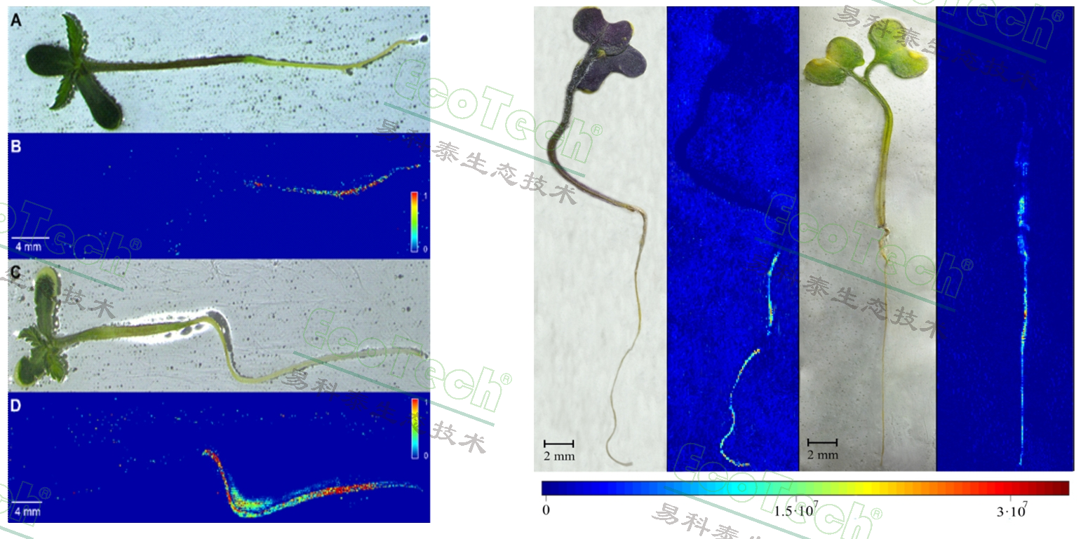 77779193永利官网(集团)有限公司