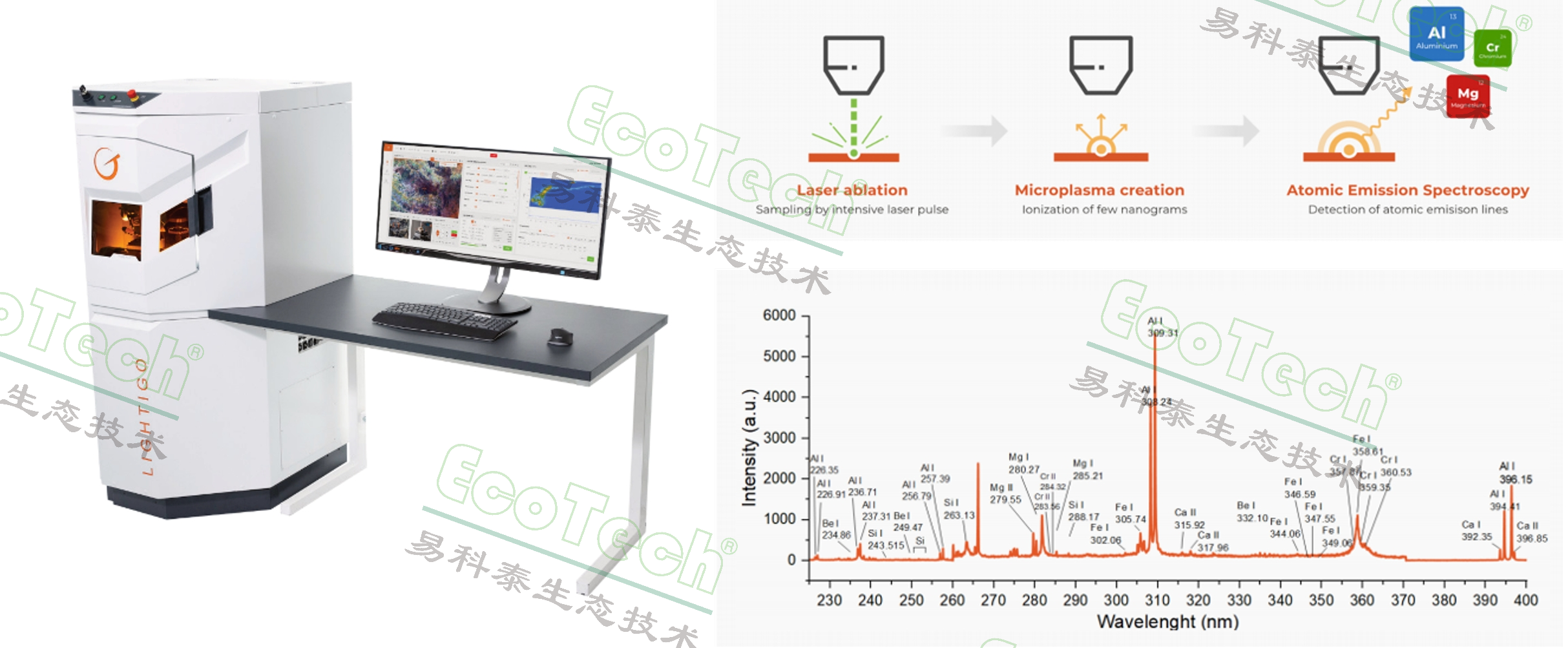 77779193永利官网(集团)有限公司