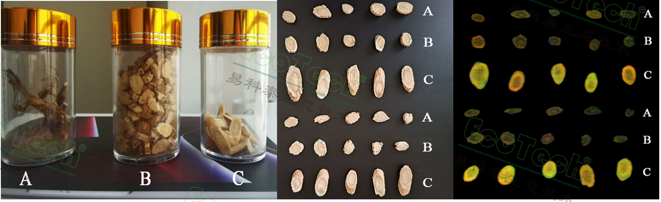 77779193永利官网(集团)有限公司