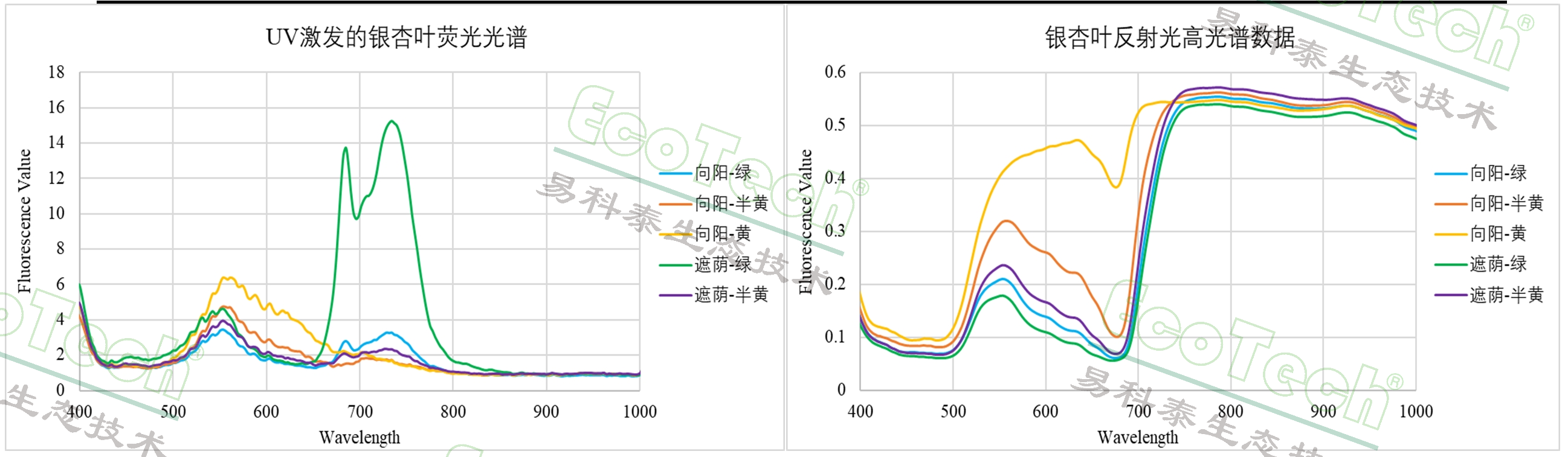 77779193永利官网(集团)有限公司
