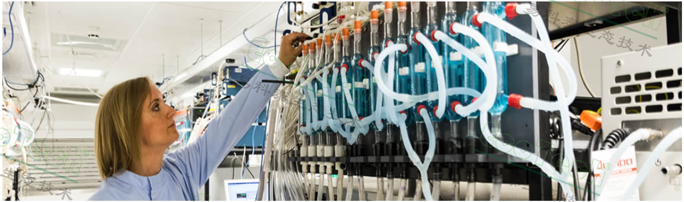 77779193永利官网(集团)有限公司