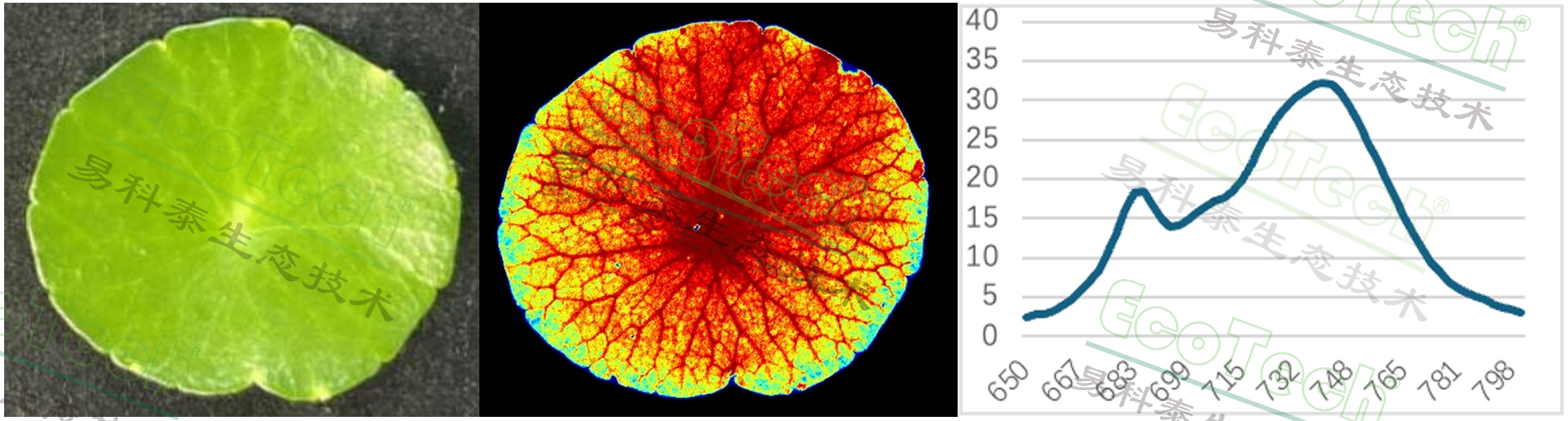77779193永利官网(集团)有限公司