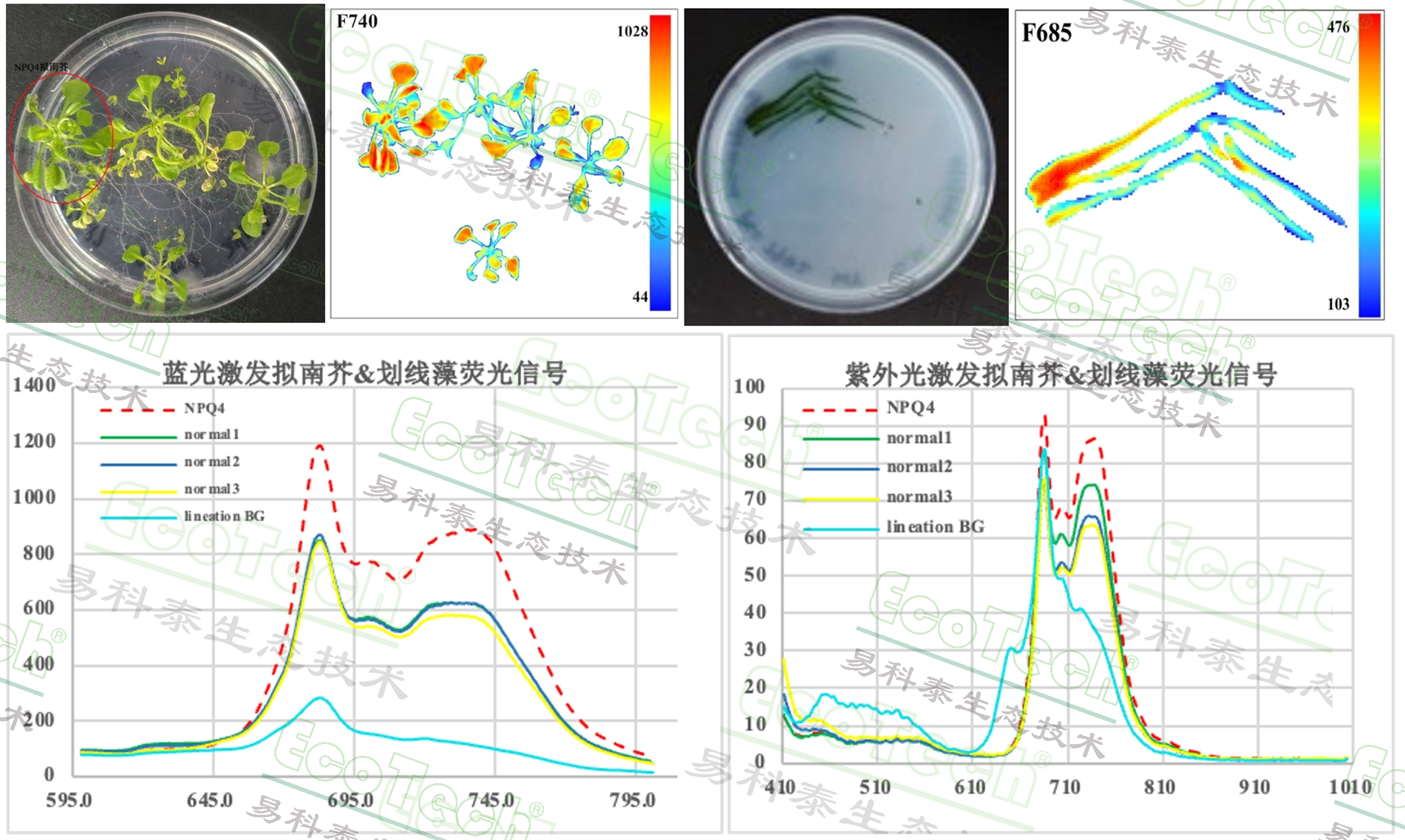 77779193永利官网(集团)有限公司
