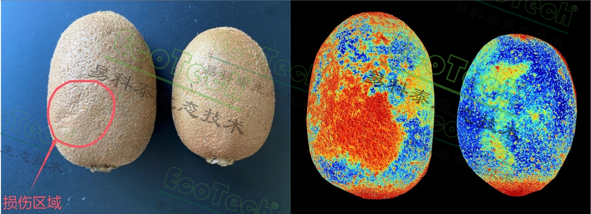 77779193永利官网(集团)有限公司