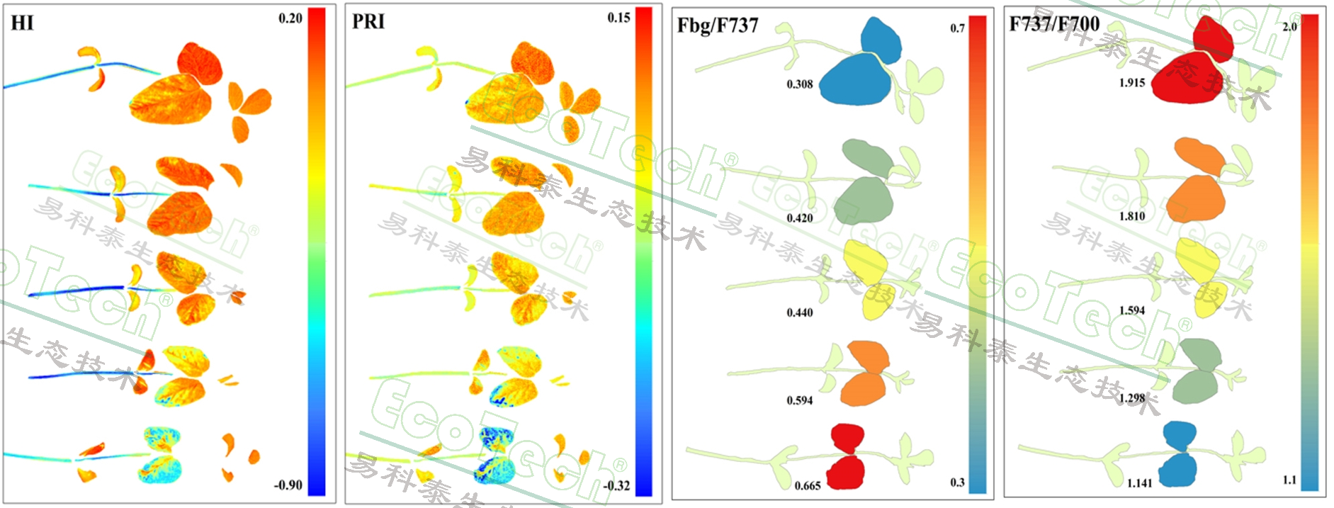77779193永利官网(集团)有限公司