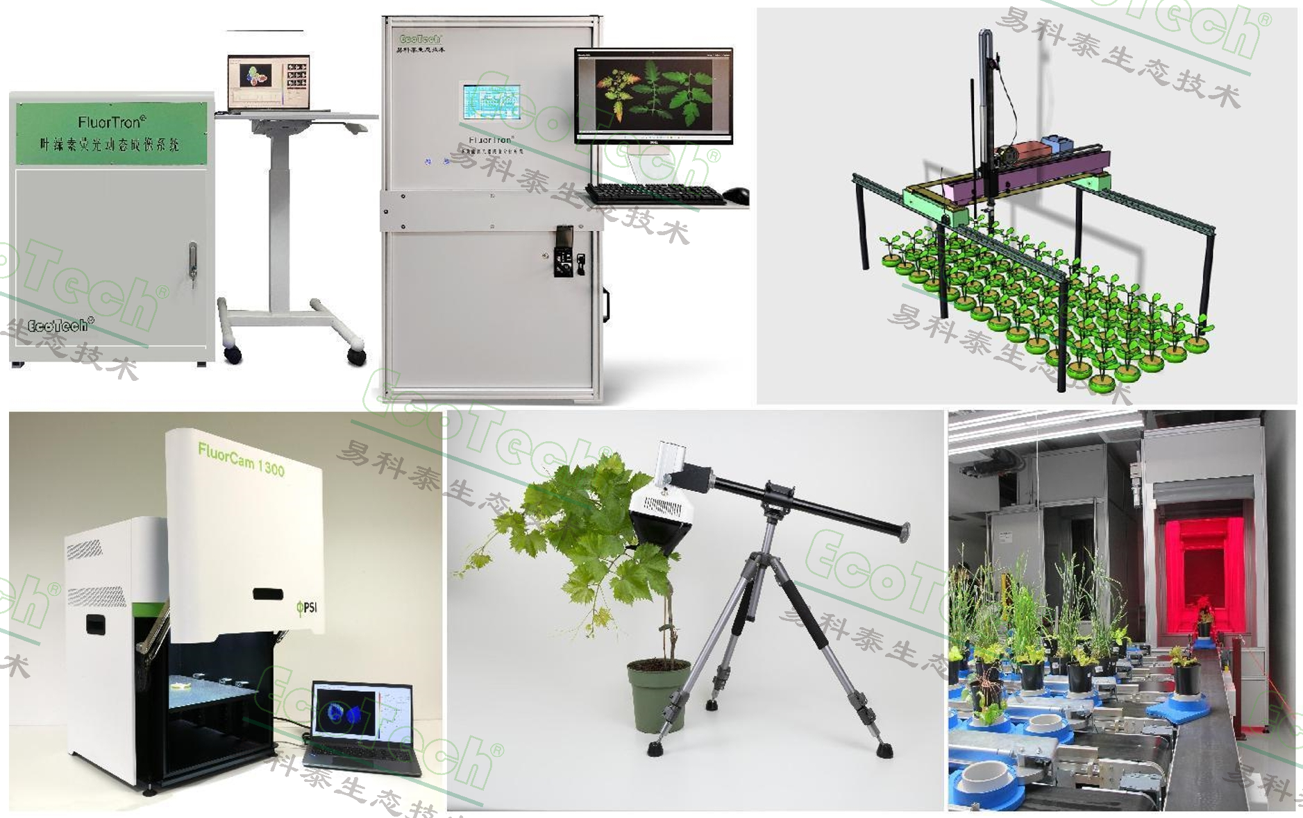 77779193永利官网(集团)有限公司