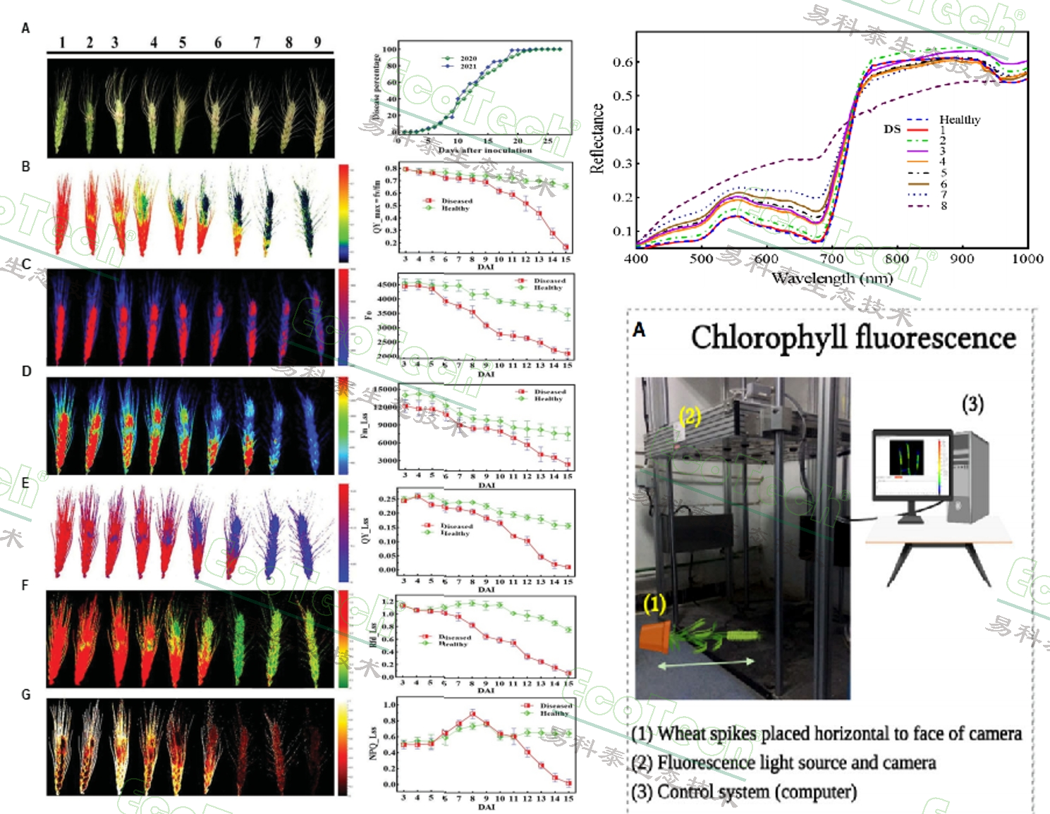 77779193永利官网(集团)有限公司