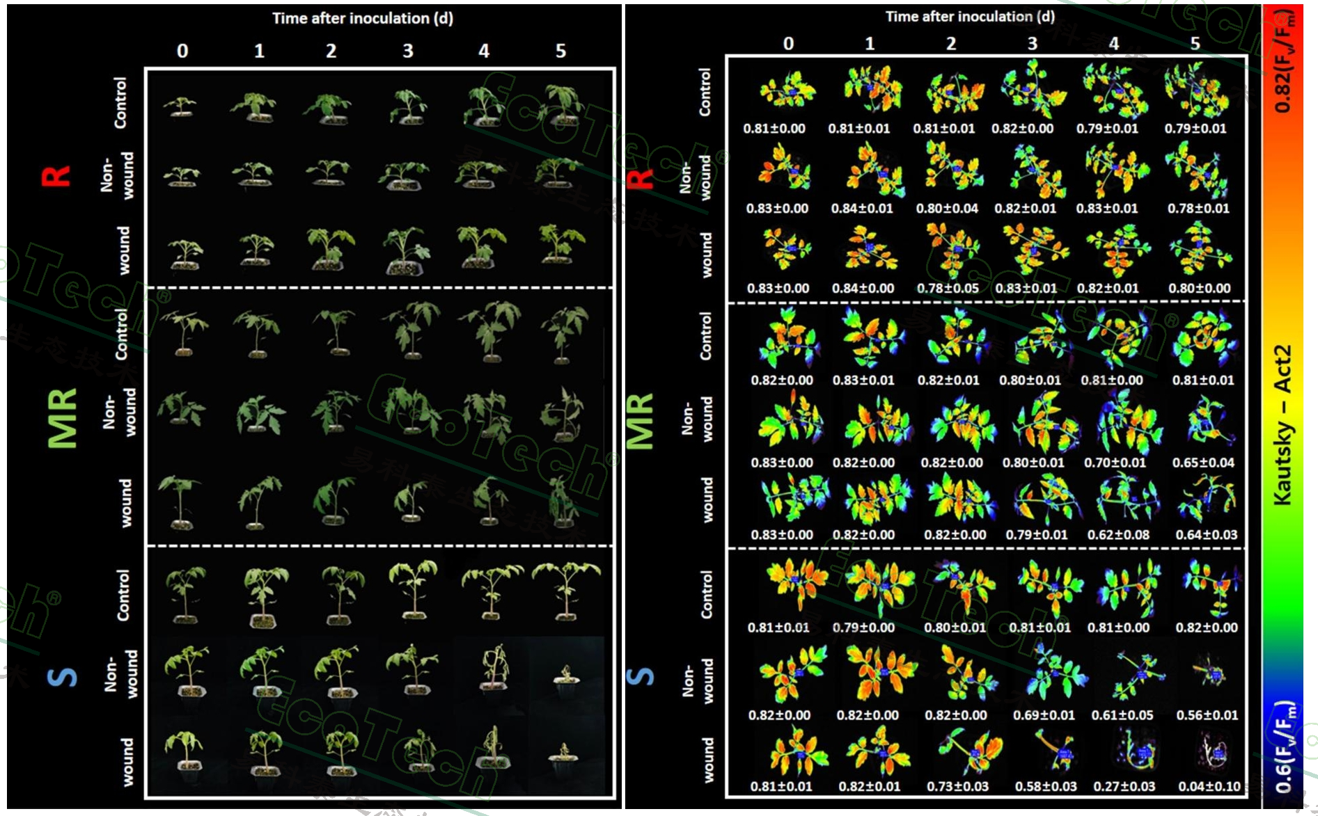 77779193永利官网(集团)有限公司