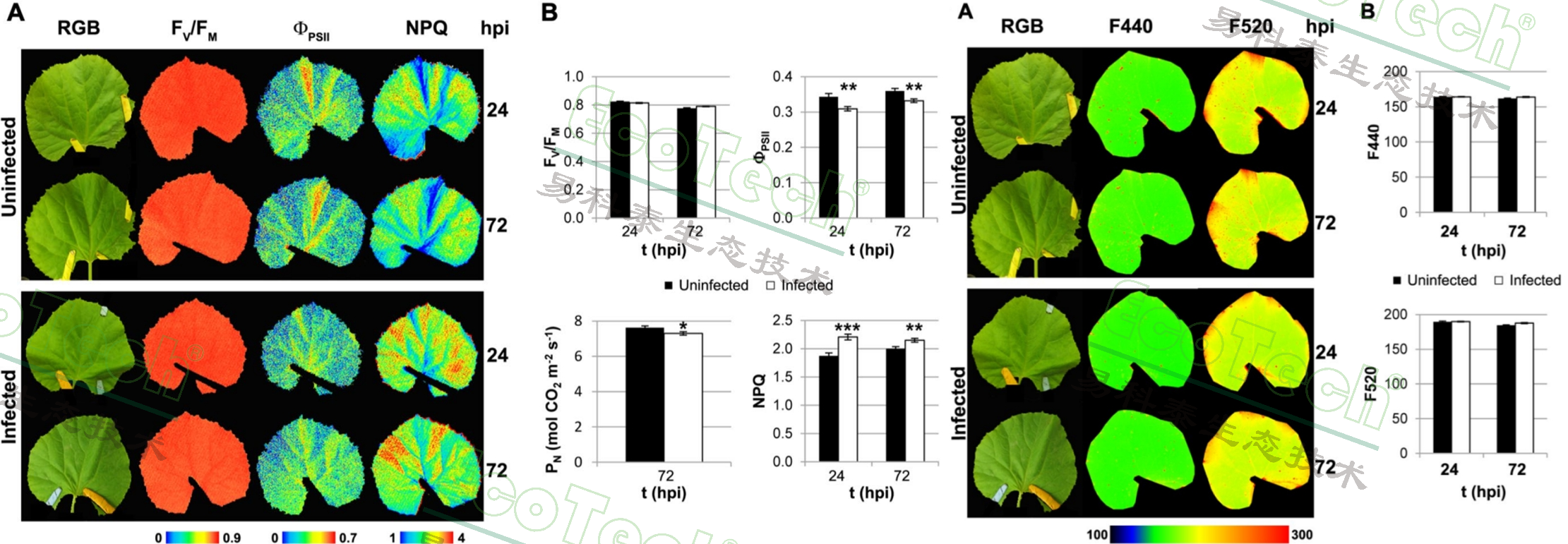 77779193永利官网(集团)有限公司